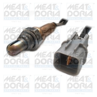 Oxygen Sensor